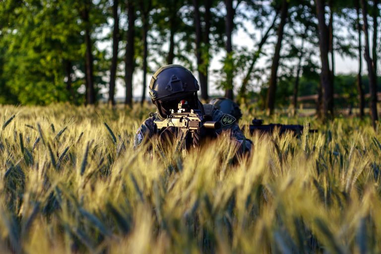 An Airsoft Player in Tactical Gear on a Wheat Field
